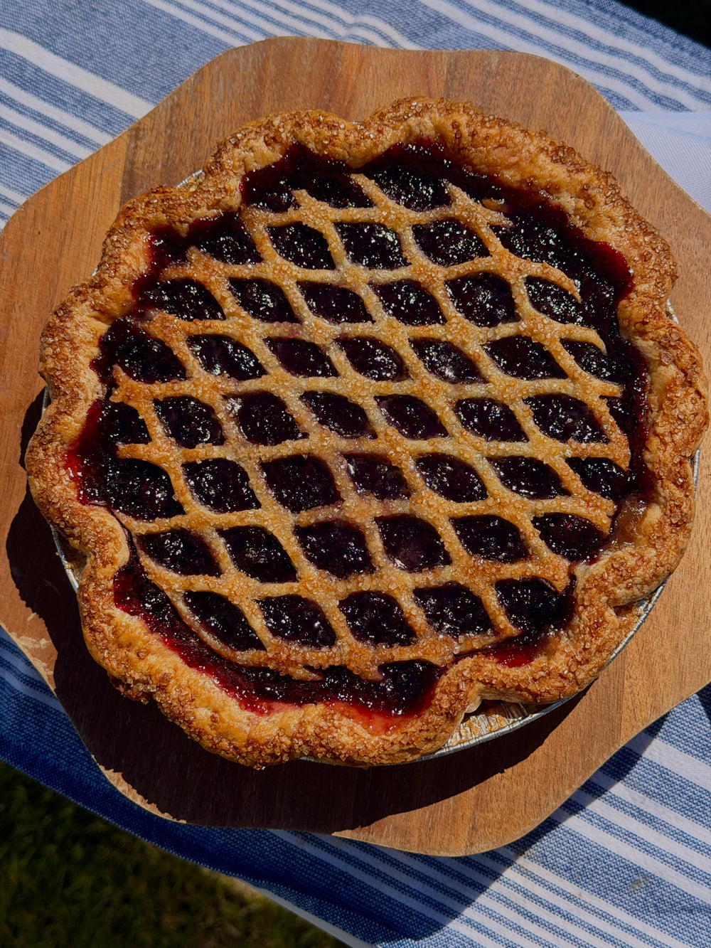 9" Family Size Blueberry Pie- Baked & Frozen
